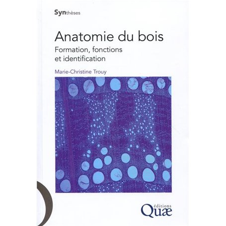 Anatomie du bois
