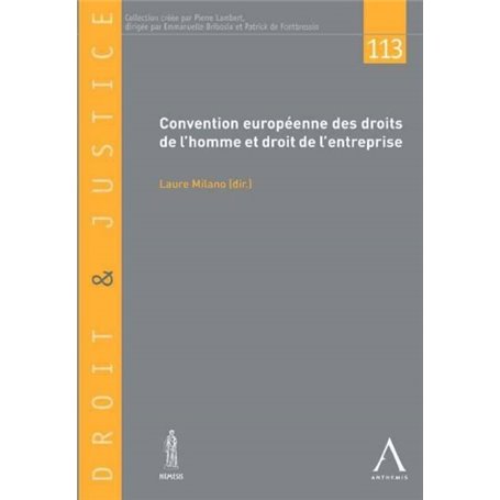 CONVENTION EUROPÉENNE DES DROITS DE L'HOMME ET DROIT DE L'ENTREPRISE