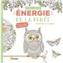 Energie de la forêt