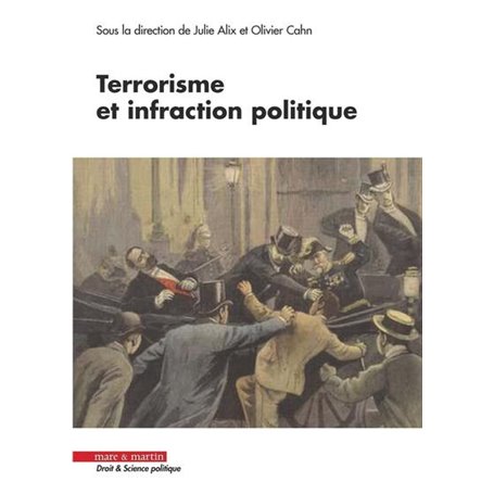 Terrorisme et infraction politique