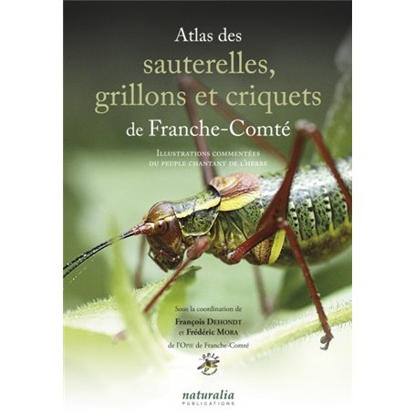 Atlas des sauterelles, grillons et criquets de Franche-Comté