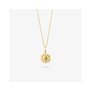 Collier Femme Radiant RY000151