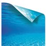 Poster Juwel 2 L Murale Verseau