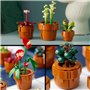 LEGO Icons 10329 Les Plantes Miniatures. Collection Botanique 9 Plante