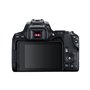 Canon EOS 250D + EF-S 18-55mm f/4-5.6 IS STM Kit d'appareil-photo SLR 24,1 MP cmOS 6000 x 4000 pixels Noir 194,46 €