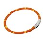Collier pour Chien Ferplast Night Over 55 cm Orange