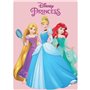 PRINCESSES PRINCESS DISNEY-PLAID-COUVERTURE POLAIRE 140X200 CM. NEUF.