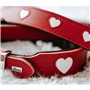 Collier pour Chien Hunter Love M/L 47-54 cm Rouge