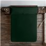 Drap housse Harry Potter Vert 180 x 200 cm