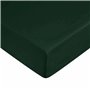 Drap housse Harry Potter Vert 60 x 120 cm