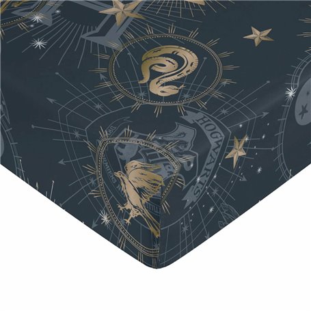 Drap housse Harry Potter Bleu Doré 160 x 200 cm