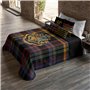 Couette légère Harry Potter Classic Hogwarts Multicouleur 250 g/m² 235