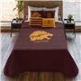 Couette légère Harry Potter Gryffindor Multicouleur 250 g/m² 250 x 270