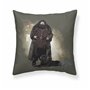 Housse de coussin Harry Potter Hagrid 50 x 50 cm
