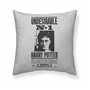 Housse de coussin Harry Potter Undesirable 50 x 50 cm