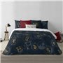 Housse de Couette Harry Potter 200 x 200 cm Lit de 120