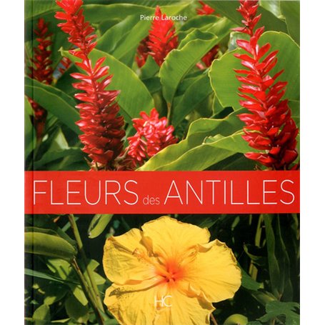 Fleurs des antilles