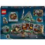 LEGO Harry Potter La cabane de Hagrid : Une visite inattendue (76428)