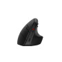 HP Souris verticale ergonomique 925