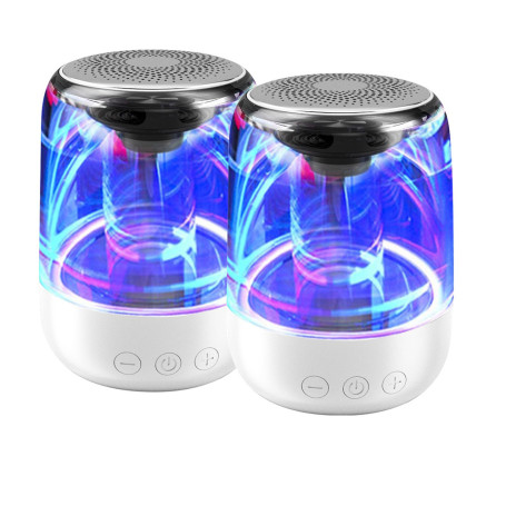 Pack d'enceinte BT 2pcs WE