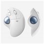 Logitech ERGO M575 for Business souris Droitier RF sans fil + Bluetooth Trackball 2000 DPI