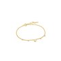 Bracelet Femme Ania Haie B022-03G 19 cm