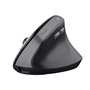 Souris Trust 25146 Noir 2400 dpi