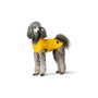 Manteau pour Chien Hunter Milford Jaune 25 cm