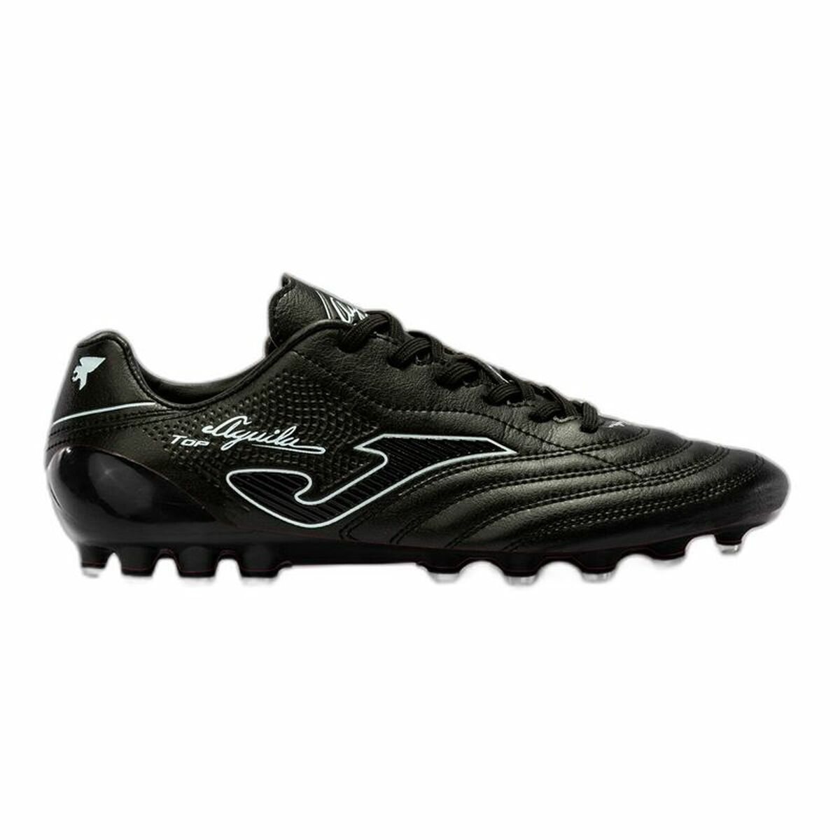 Crampons pour chaussure