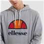 Sweat à capuche homme Ellesse Dahryl OH Gris clair