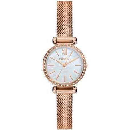 Montre Femme Fossil TILLIE MINI (Ø 26 mm)