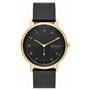 Montre Homme Skagen KUPPEL LILLE (Ø 44 mm)