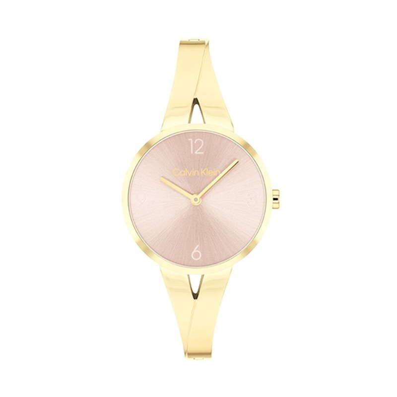 Montre Femme Calvin Klein 25100027