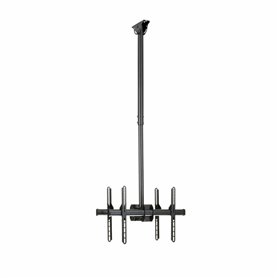 Support de TV Startech FPCEILBTB