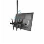 Support de TV Startech FPCEILBTB           