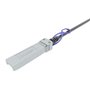 Câble Réseau SFP+ Panduit PSF1PZA1MBL Gris