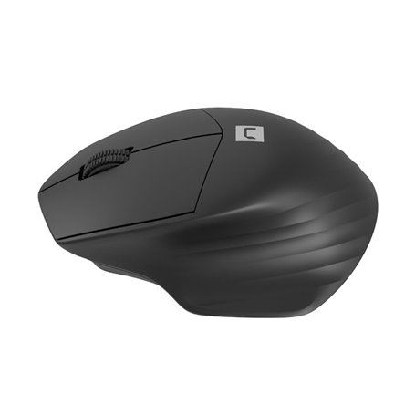 Souris sans-fil Natec SISKIN 2 Noir
