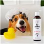 Shampoing pour animaux de compagnie Pets 250 ml Chat Huile d'Argan