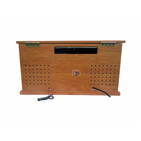 Tourne-disques Sunstech PXRC52CDWD Marron Bois