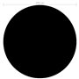 vidaXL Couverture de piscine Noir 250 cm PE