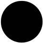 vidaXL Couverture de piscine Noir 300 cm PE
