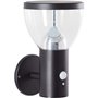 Applique extérieure - BRILLIANT - TULIP - LED et solaire - Détecteur de mouvement - Acier inoxydable et plastique - 4 W