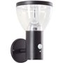 Applique extérieure - BRILLIANT - TULIP - LED et solaire - Détecteur de mouvement - Acier inoxydable et plastique - 4 W
