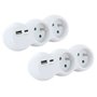 Lot 2 domino CHACON - 47002 - 2x16A avec USB-A +USB-C - Blanc (FR)
