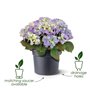 Elho Green Basics Cilinder Pot de fleurs Marron clair 55 cm