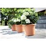 Elho Green Basics Cilinder Pot de fleurs Marron clair 55 cm