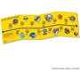 Album pour cartes a collectionner - PANINI - DINOS NATIONAL GEOGRAPHIC KIDS - PANINIPEDIA