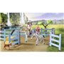 PLAYMOBIL 71351 Ranch de la cascade - Horses of Waterfall - 264 pieces - Des 5 ans