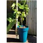 Bac a fleurs RIVIERA SOLEILLA - Plastique - Hauteur 53 cm - Bleu