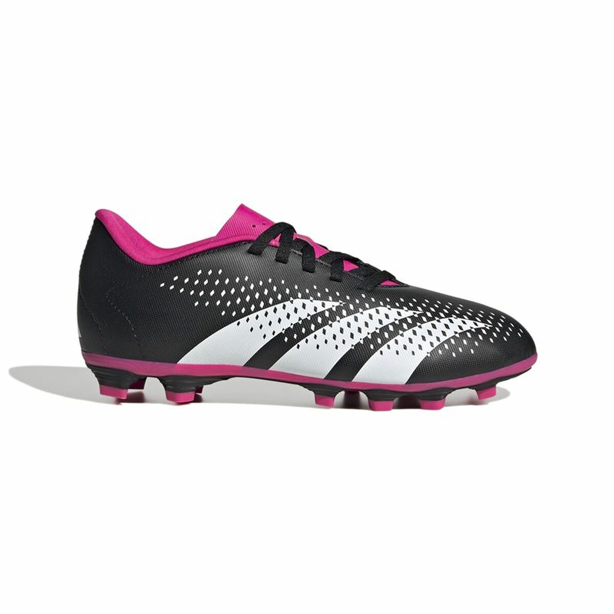 Crampons pour chaussure